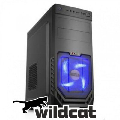 Wildcat 2 - RYZEN 3 1200 + Sapphire Radeon PULSE RX 550 2GD5